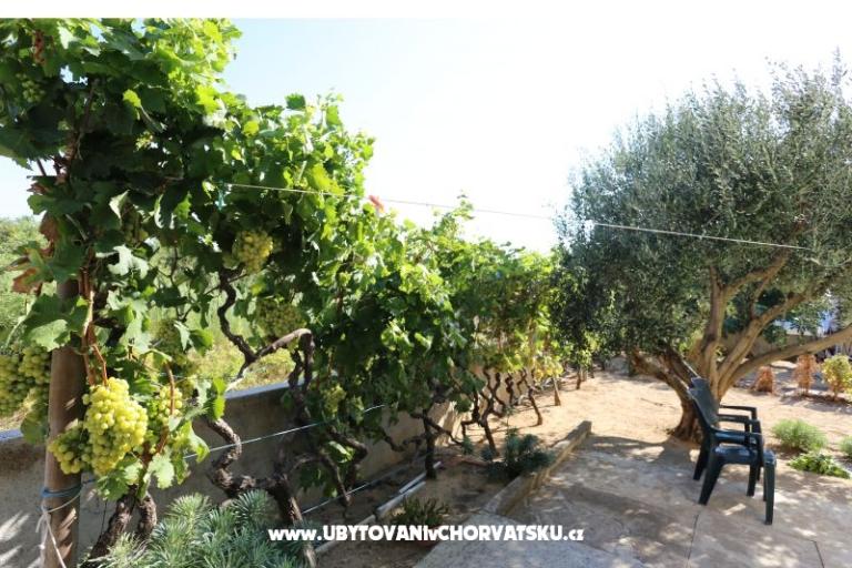 Appartamento Radobuljac Vrsi  – foto 3