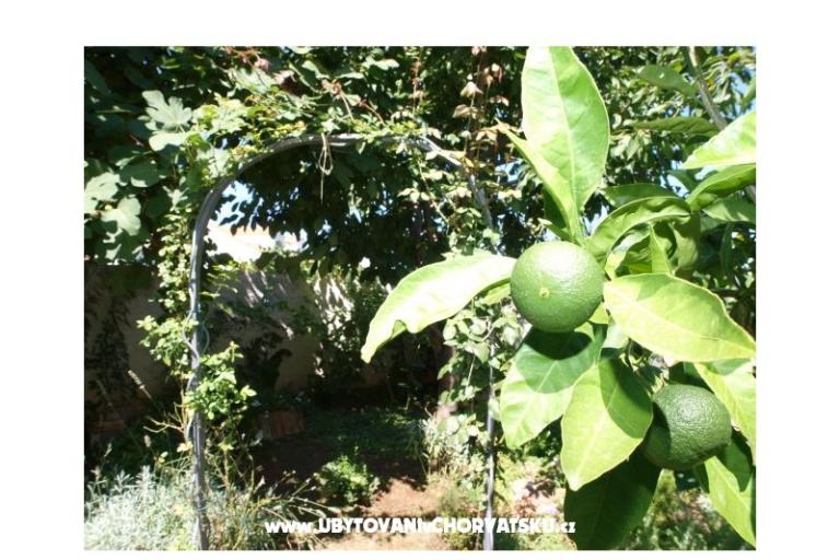 Appartamenti Andredor – foto 7
