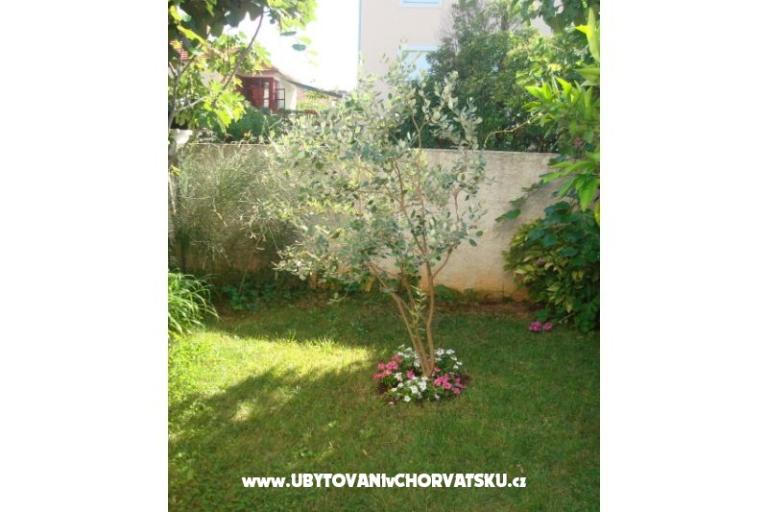 Appartamenti Andredor – foto 8