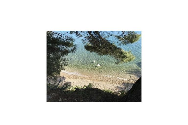 Appartamenti Danijela Karma – foto 8
