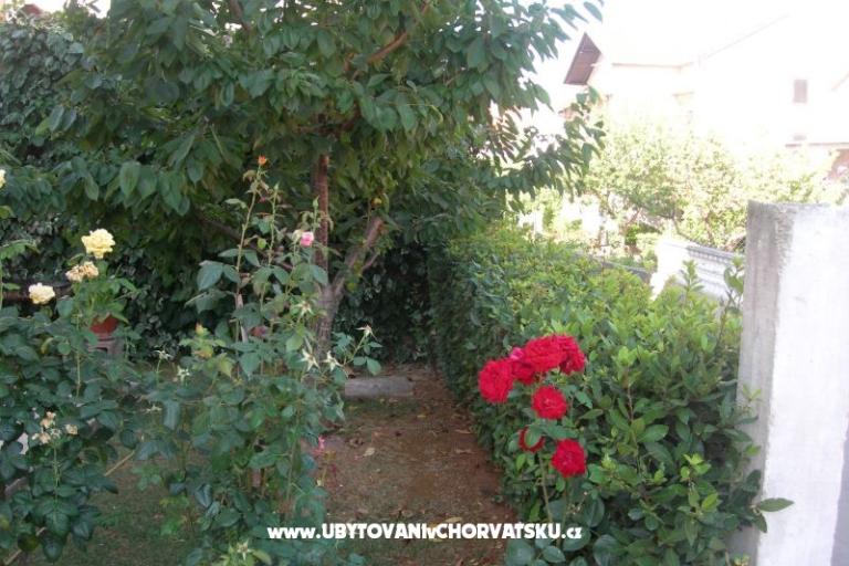 Appartamenti Ravkin – foto 9