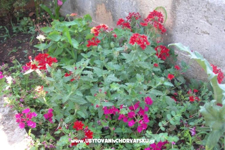 Appartamenti Ravkin – foto 10