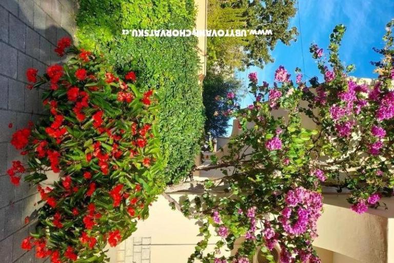 Appartamenti Mira – foto 5