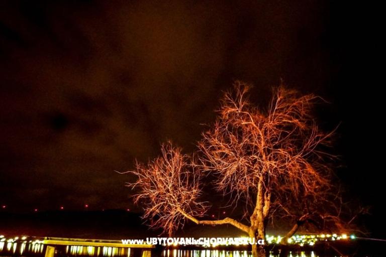 Appartamenti Musulin – foto 14