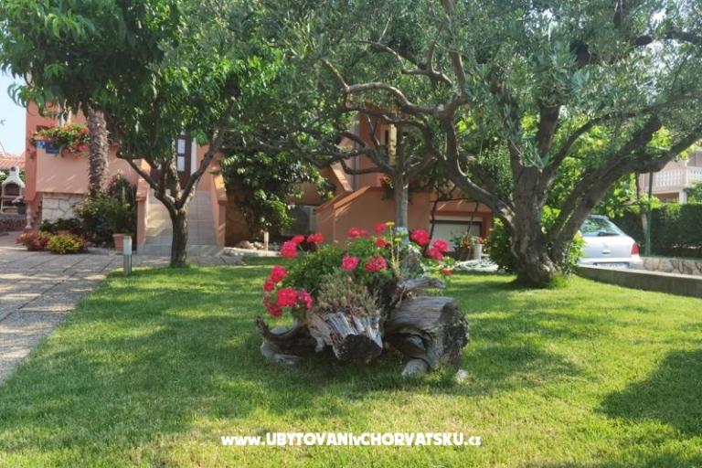 Appartamenti Riva – foto 3