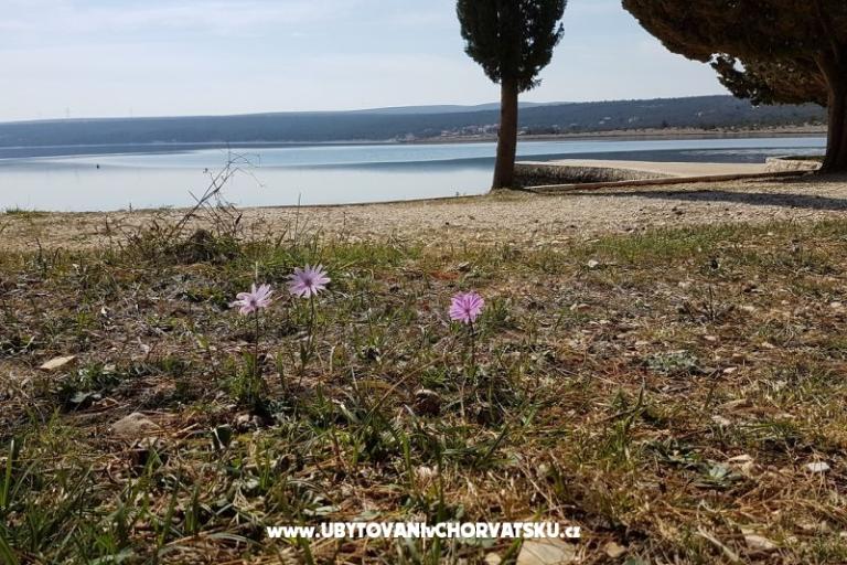 Appartamenti Tena,  prvi red do mora – foto 45