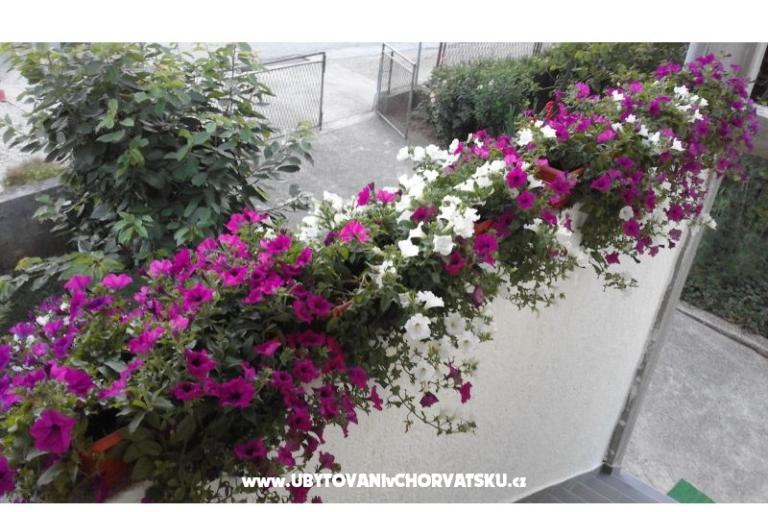 Appartamentos  Nina  – foto 11