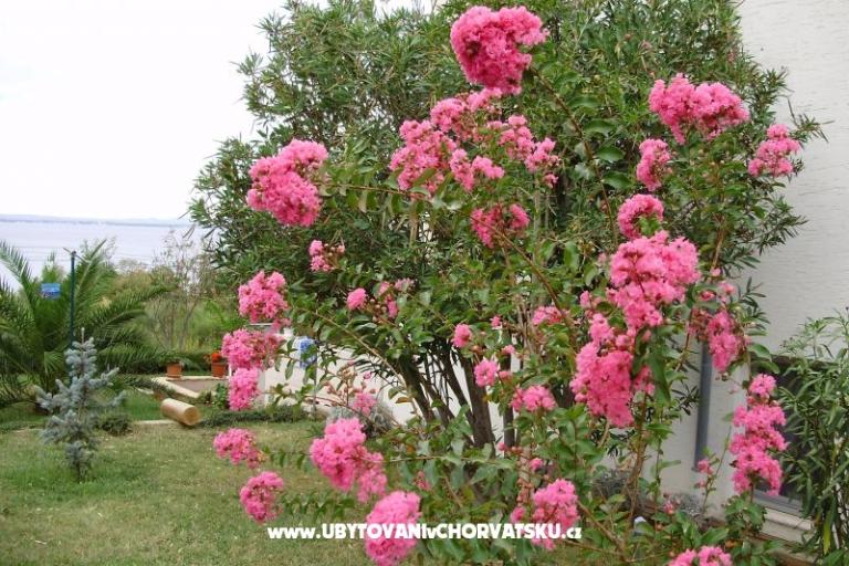 Appartamenti Marija – foto 7