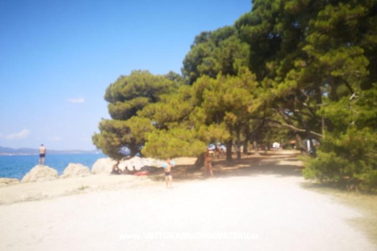 Appartamenti Asea Zadar – foto 5
