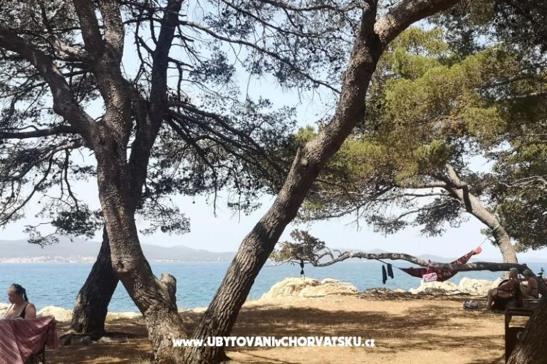 Appartamenti Asea Zadar – foto 6