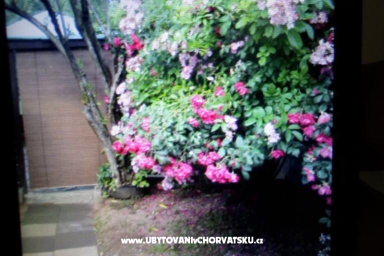 Appartamenti Floresita – foto 16
