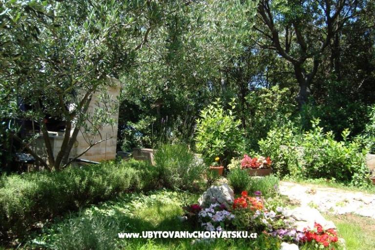 Appartamenti ISA – foto 12