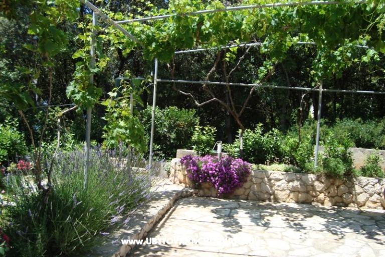 Appartamenti ISA – foto 14