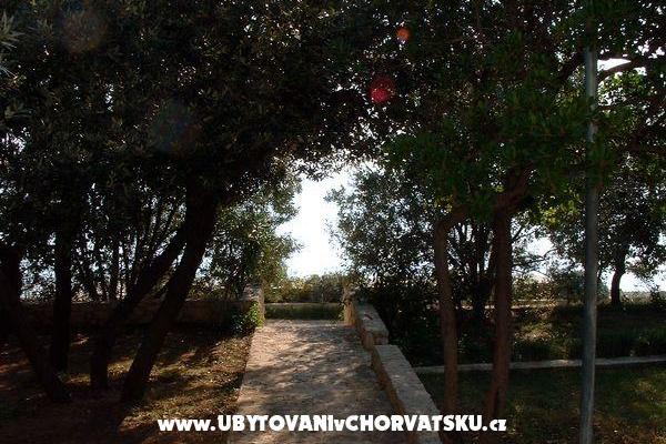 Appartamenti ISA – foto 6