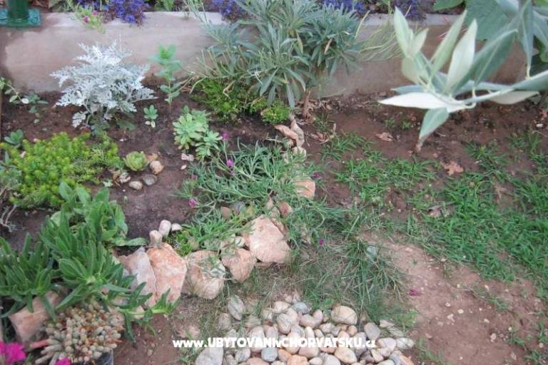 Appartamenti Maja – foto 10