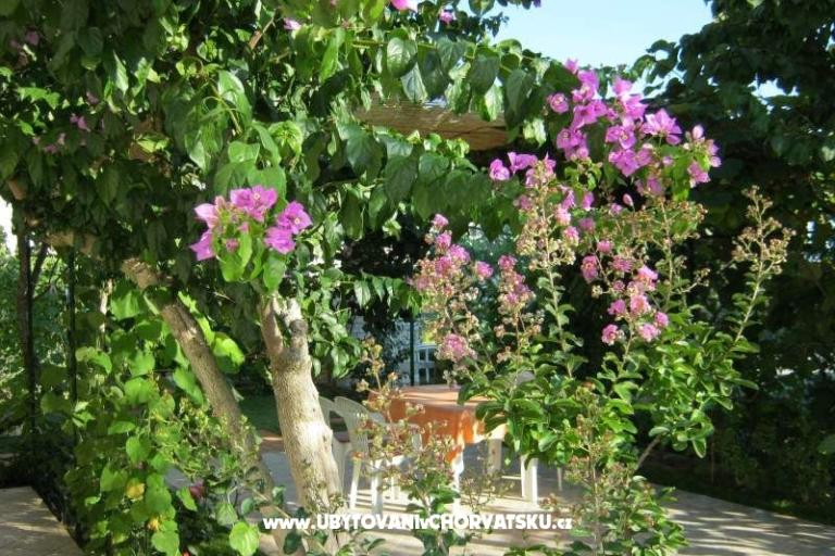 Appartamenti Maja – foto 14