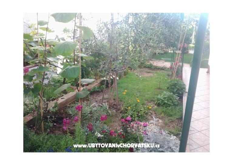 Appartamenti Maja – foto 15