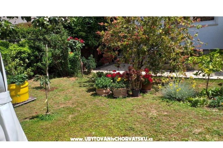 Appartamenti Manda – foto 17