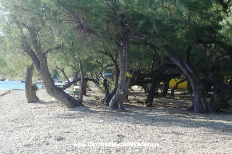 Appartamenti Hudi – foto 14