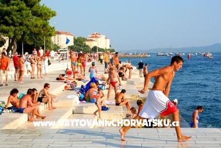 Centar – foto 7