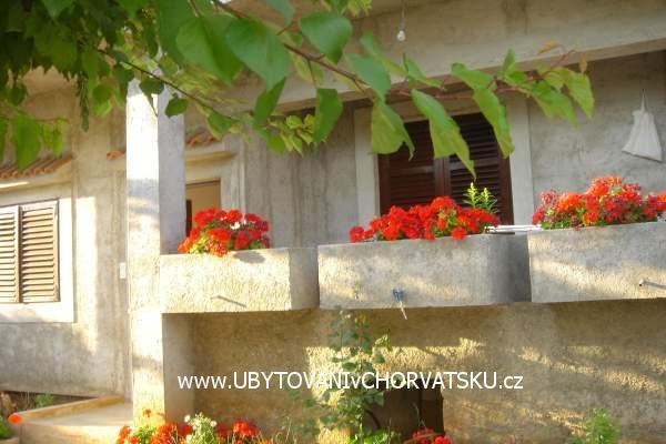 Family Casa Matkovic – foto 4
