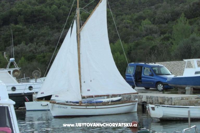 Casa Branka – foto 15