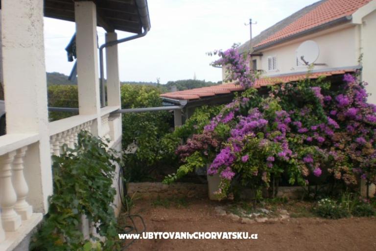 Casa Branka – foto 16
