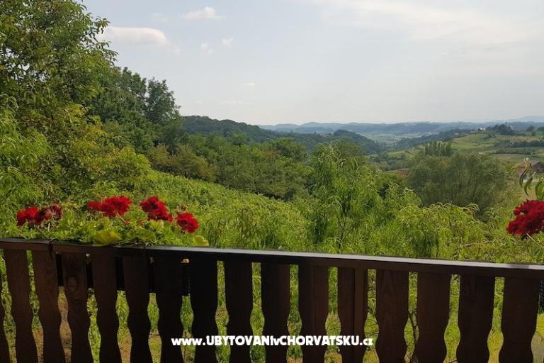 Appartamenti Potočki – foto 5