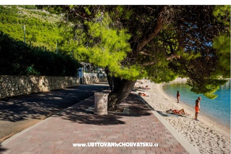 Appartamenti Martinović – foto 13