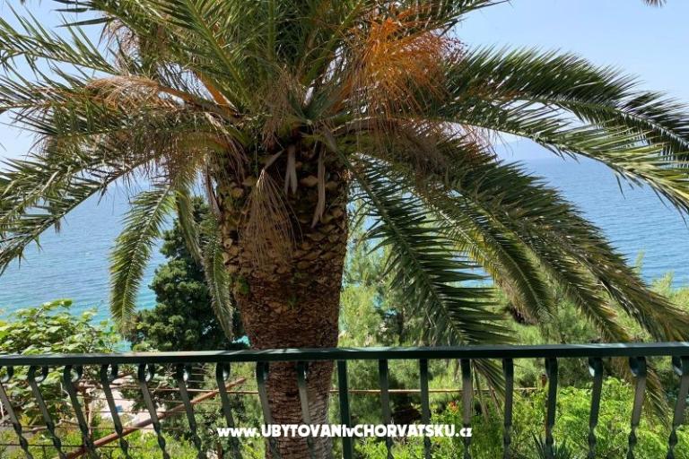 Appartamenti Palma – foto 7