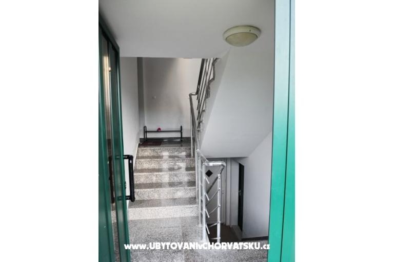 Alexis Casa – foto 3