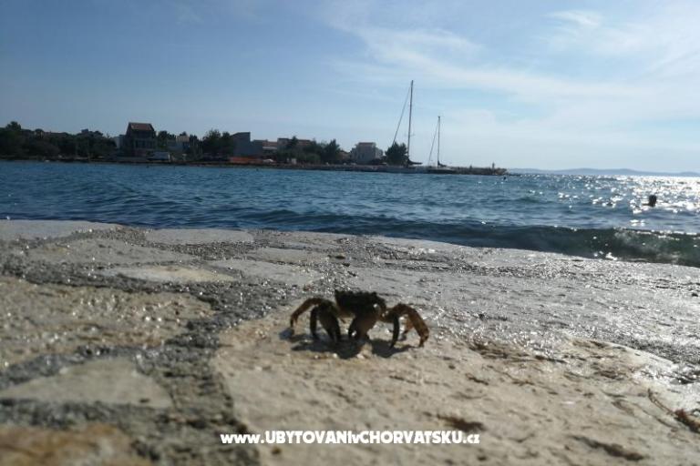 Appartamento Mira – foto 13