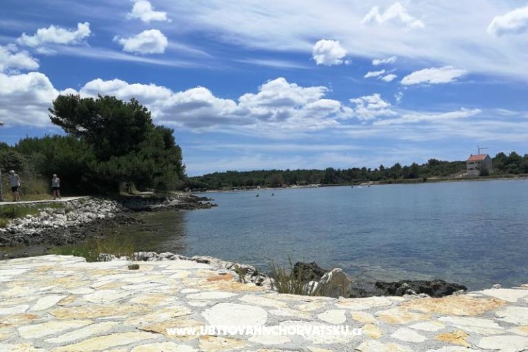 Appartamento Mira – foto 14