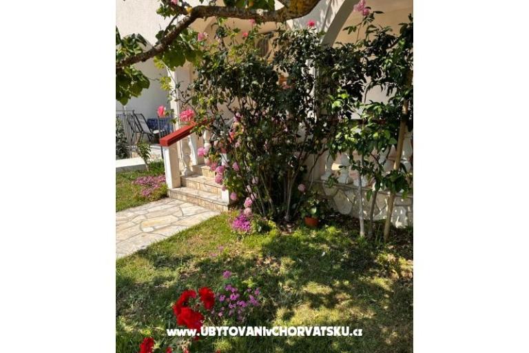 Appartamenti Ana Ercegović  – foto 11