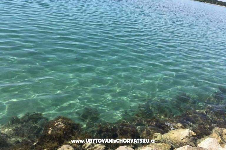 Appartamenti Ana Ercegović  – foto 15