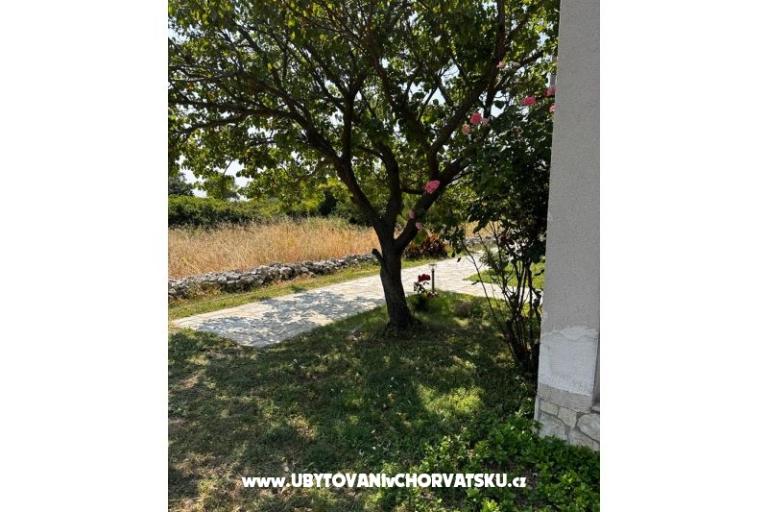 Appartamenti Ana Ercegović  – foto 8