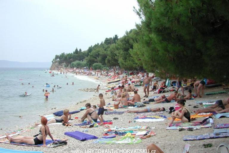 Appartamenti Gojko Ajduk – foto 3