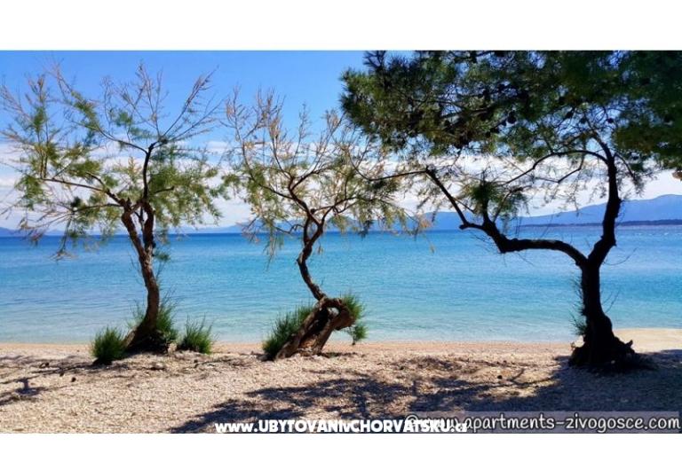 Appartamenti Ferdo – foto 10