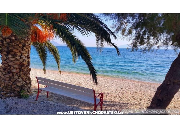 Appartamenti Ferdo – foto 8