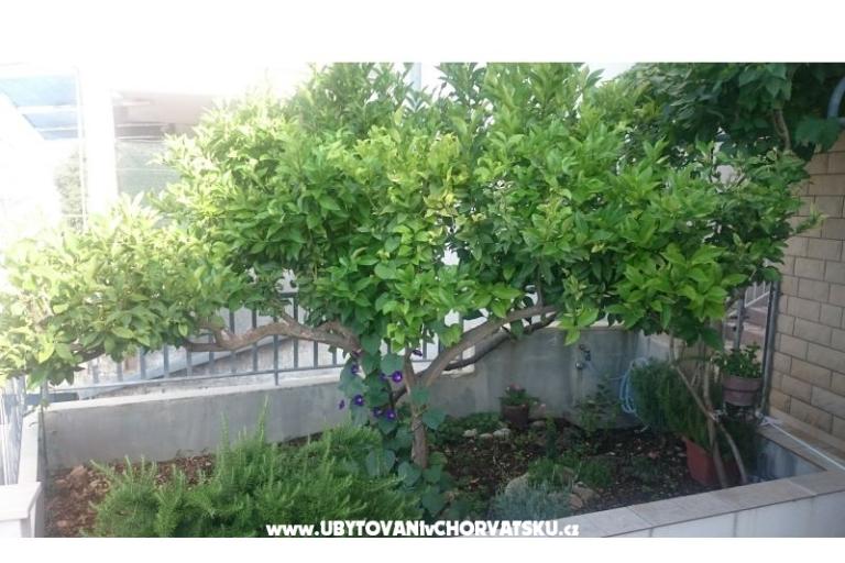 Appartamenti Jovanović – foto 12