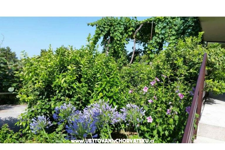 Appartamenti Lily – foto 5