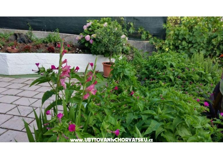 Appartamenti Lily – foto 8