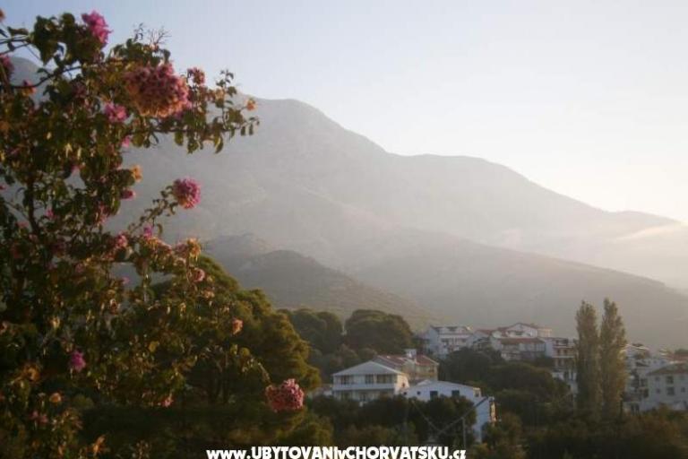 Appartamenti Lydia – foto 6