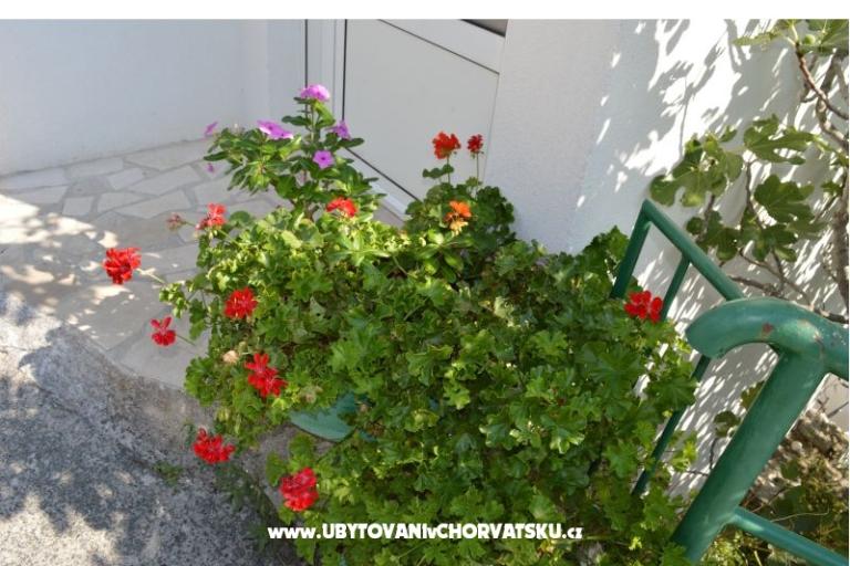 Appartamenti Majstrović Živogošće – foto 12