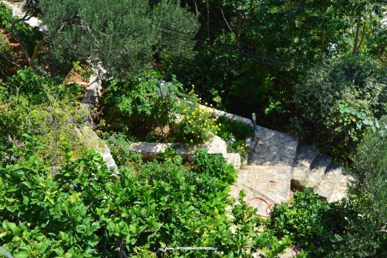 Appartamenti Majstrović Živogošće – foto 6