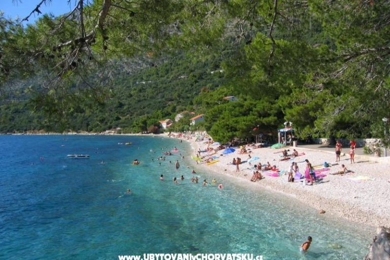 Appartamenti Reljic – foto 8