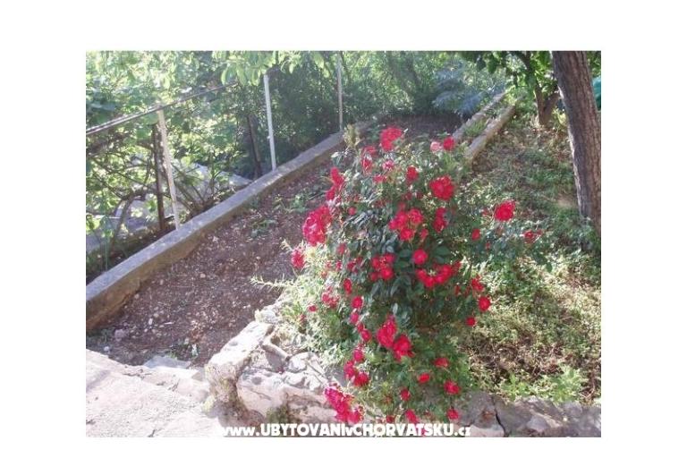Appartamenti Tiho – foto 11