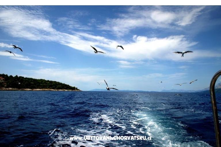 Appartamenti Anita – foto 16