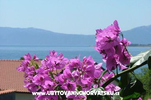 Appartamenti LM – foto 12