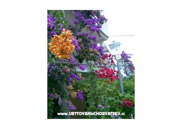 Appartamenti LM – foto 18
